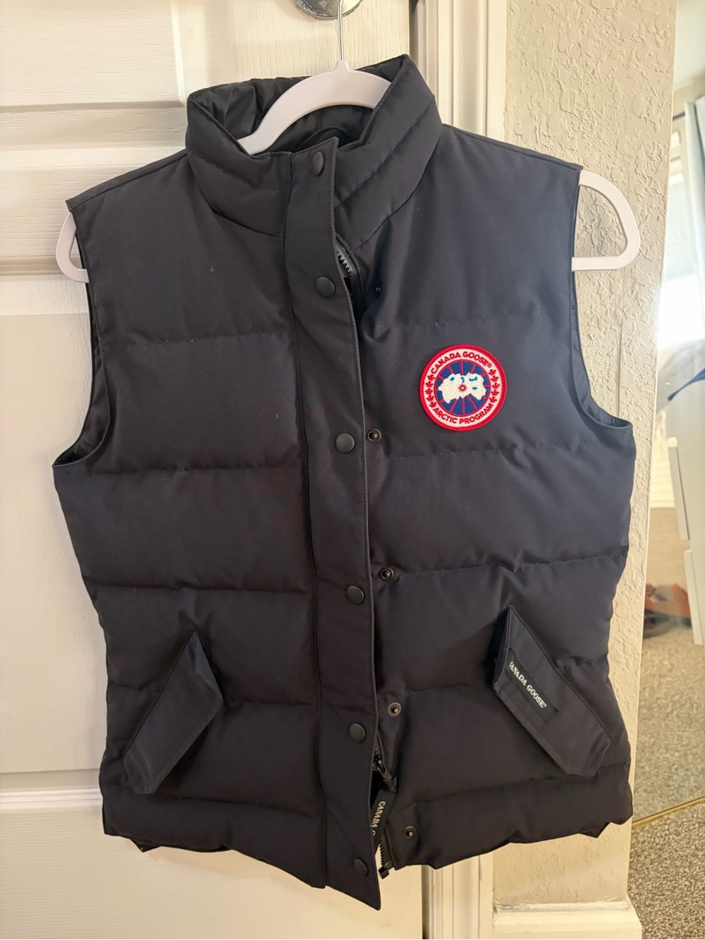 Canada goose